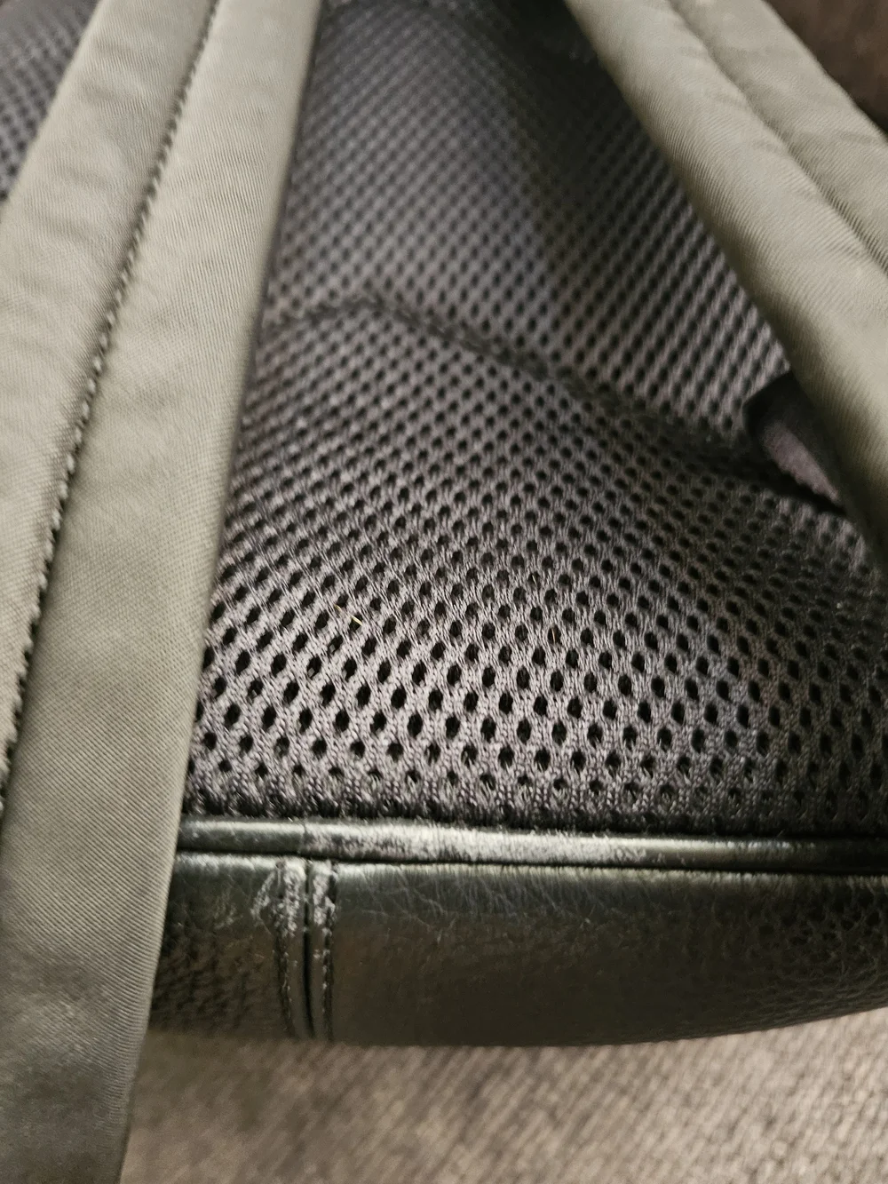 Coach carry sleek